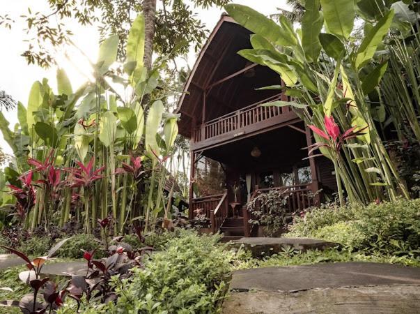 The Jungle Villa Убуд Экстерьер фото