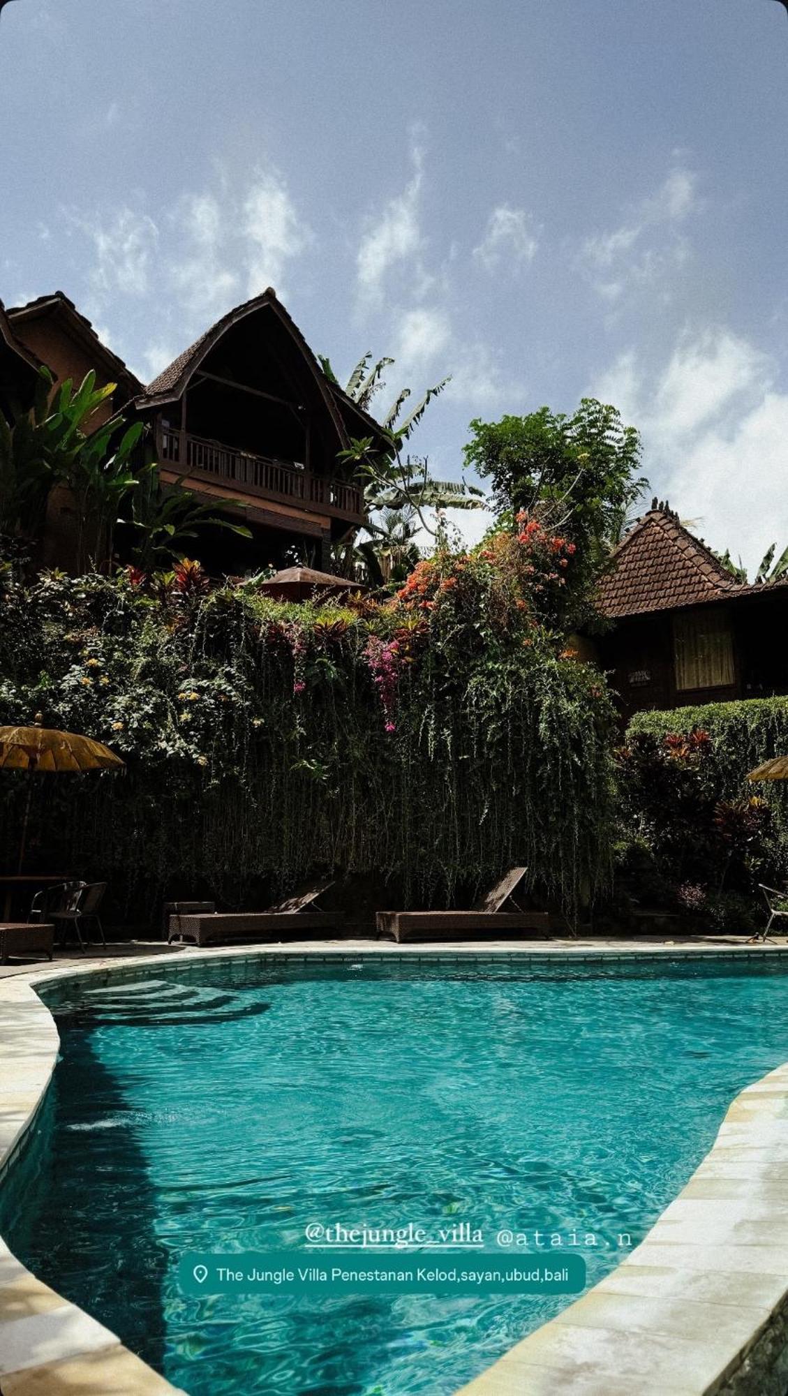 The Jungle Villa Убуд Экстерьер фото